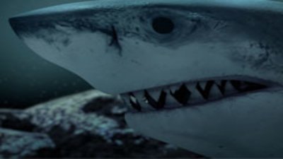 Monster Sharks