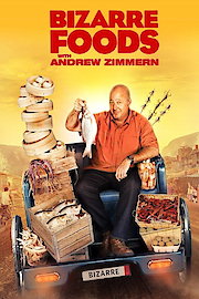 Bizarre Foods poster