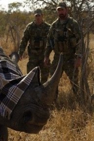 Battleground Rhino Wars