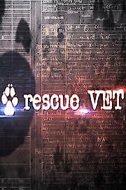 Rescue Vet poster