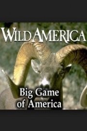 Wild America: Big Game of America Collection poster