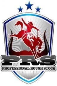 Professional Roughstock Series