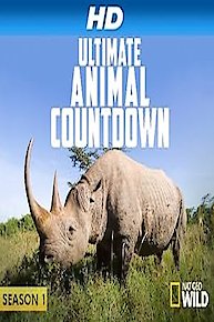 Ultimate Animal Countdown