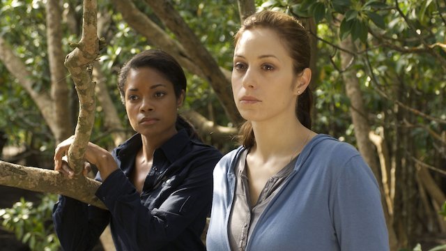 Watch Blood and Oil (2010) Online