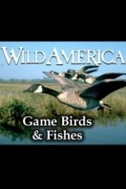 Wild America, Game Birds & Fishes Collection poster