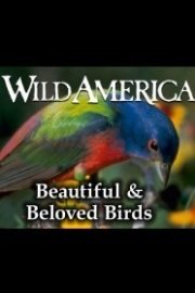 Wild America: Beautiful and Beloved Birds Collection poster