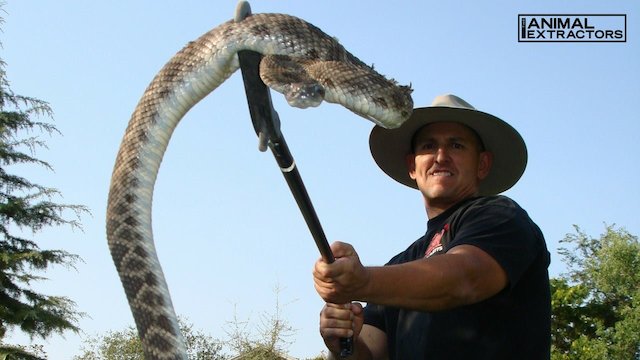 Watch The Animal Extractors Online