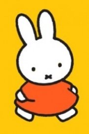 Miffy: Little Bunny poster