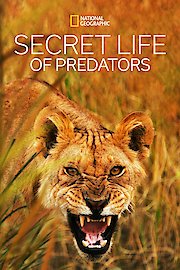National Geographic Wild Special poster