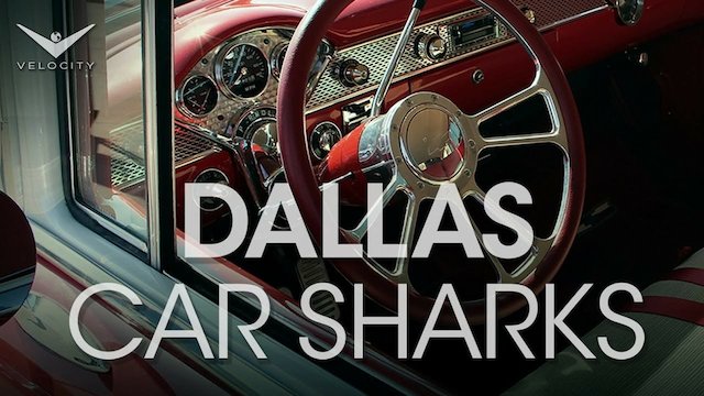 Watch Dallas Car Sharks Online