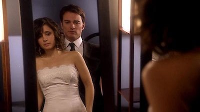 Bride Unbridled