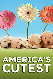 America's Cutest