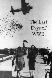 The Last Days Of WWII poster