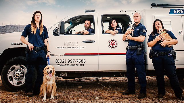 Watch Animal Cops: Phoenix Online