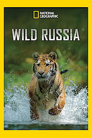 Wild Russia