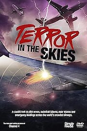 Terror in the Skies poster