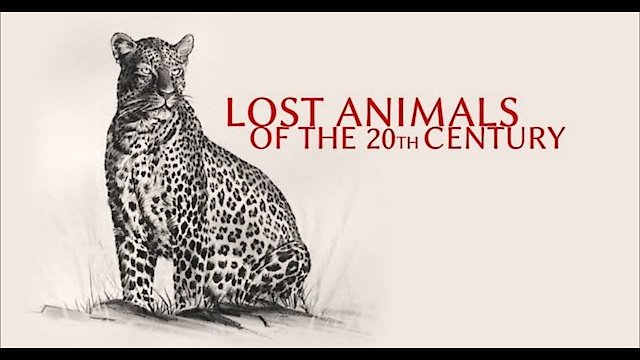 Watch Lost Animals of the 20th Century Online