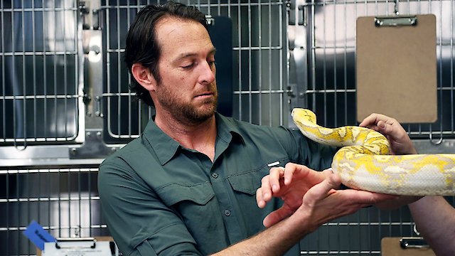 Watch Jobs That Bite! Online