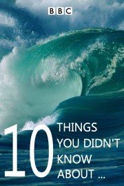 10 Things You Didn't Know About poster