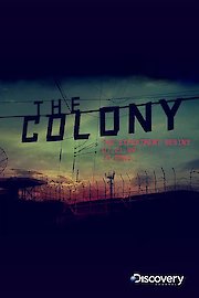 The Colony