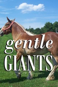 Gentle Giants