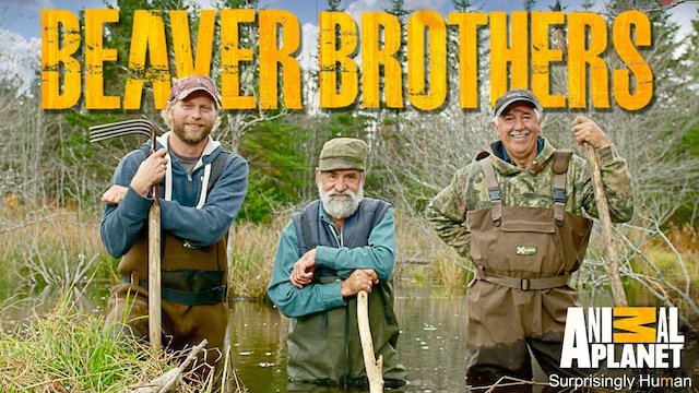 Watch Beaver Brothers Online