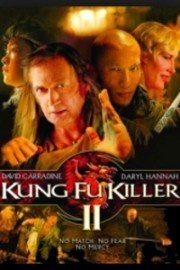 Kung Fu Killer II poster