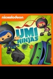 Team Umizoomi: Umi Ninjas poster