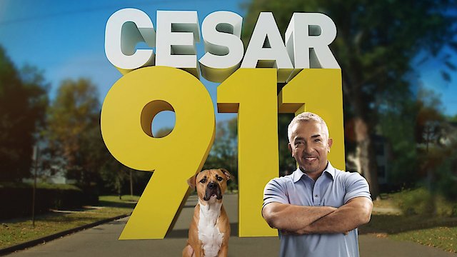 Watch Cesar 911 Online