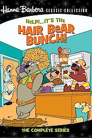 Help! It's the Hair Bear Bunch! poster