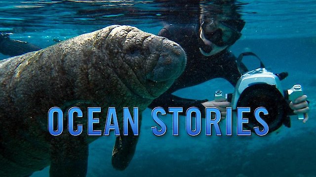 Watch Ocean Stories Online