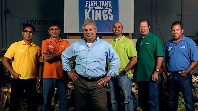 Watch Fish Tank Kings Online