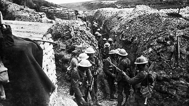 Watch The First World War Online