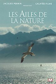 Wings of Nature