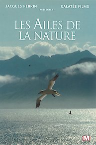 Wings of Nature