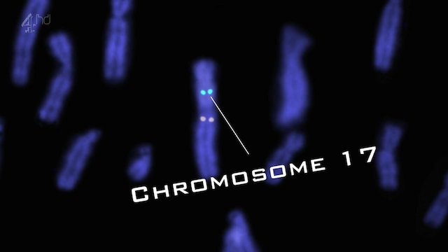 Watch Dead Famous DNA Online