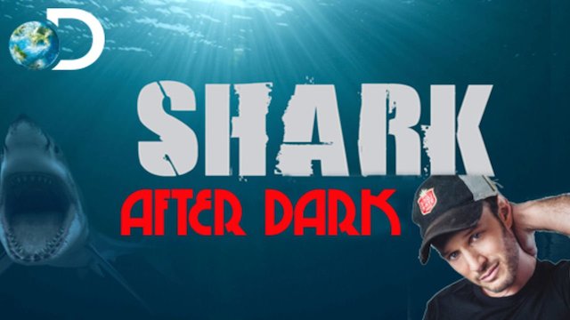 Watch Shark After Dark Online