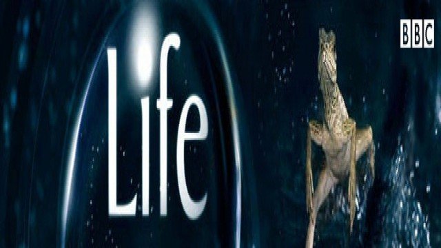 Watch Life, Making Of Online