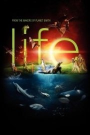 Life, Making Of