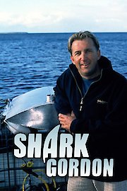 Shark Gordon