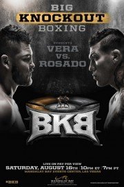 Big Knockout Boxing poster