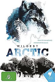 Wildest Arctic poster