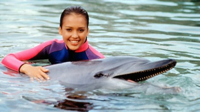 Watch Flipper Online