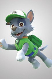 PAW Patrol, Rocky to the Rescue poster