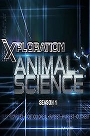 Xploration Animal Science poster