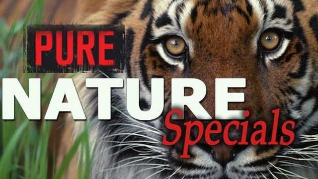 Watch Pure Nature Specials Online