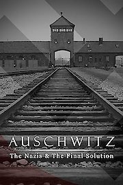 Auschwitz: The Nazis And The Final Solution poster