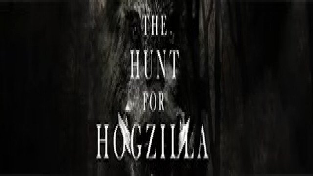 Watch The Hunt For Hogzilla Online