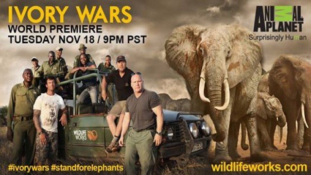 Watch Ivory Wars Online