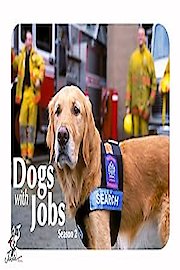 Dogs with Jobs poster